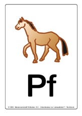 pf-pferd.pdf